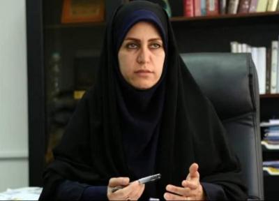 صاحبان کسب و کار های فرهنگ، هنر و رسانه برای ثبت نام در سامانه کارا تا انتها هفته فرصت دارند