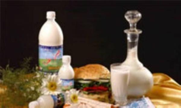 دوغ را در یخچال بگذارید دوغ را در یخچال بگذارید