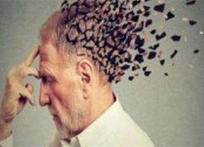 با خوردن این خوراکی ها از ابتلا به آلزایمر جلوگیری کنید