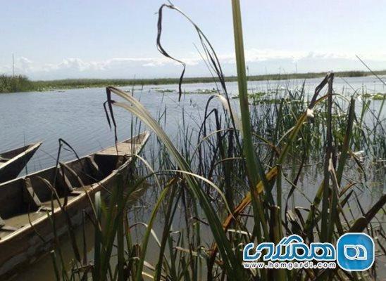 تالاب عزیزک یکی از دیدنی های استان مازندران است تالاب عزیزک یکی از دیدنی های استان مازندران است